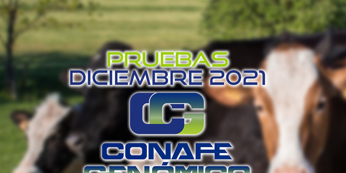 Nuevas pruebas CONAFE + MACE y GMACE Diciembre 2021