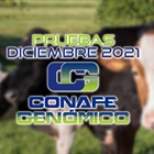 Nuevas pruebas CONAFE + MACE y GMACE Diciembre 2021