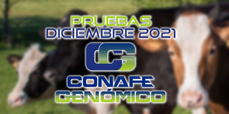 Nuevas pruebas CONAFE + MACE y GMACE Diciembre 2021