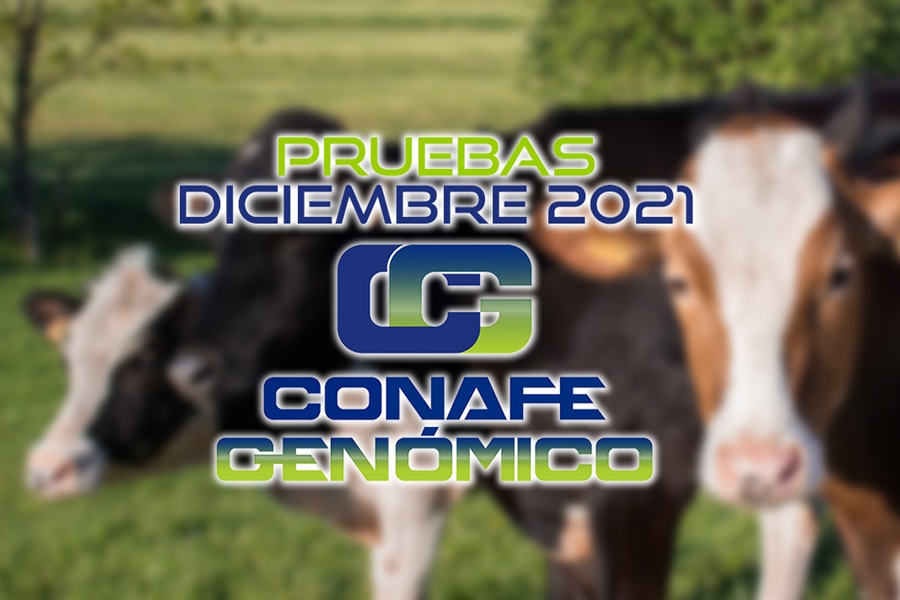 Nuevas pruebas CONAFE + MACE y GMACE Diciembre 2021