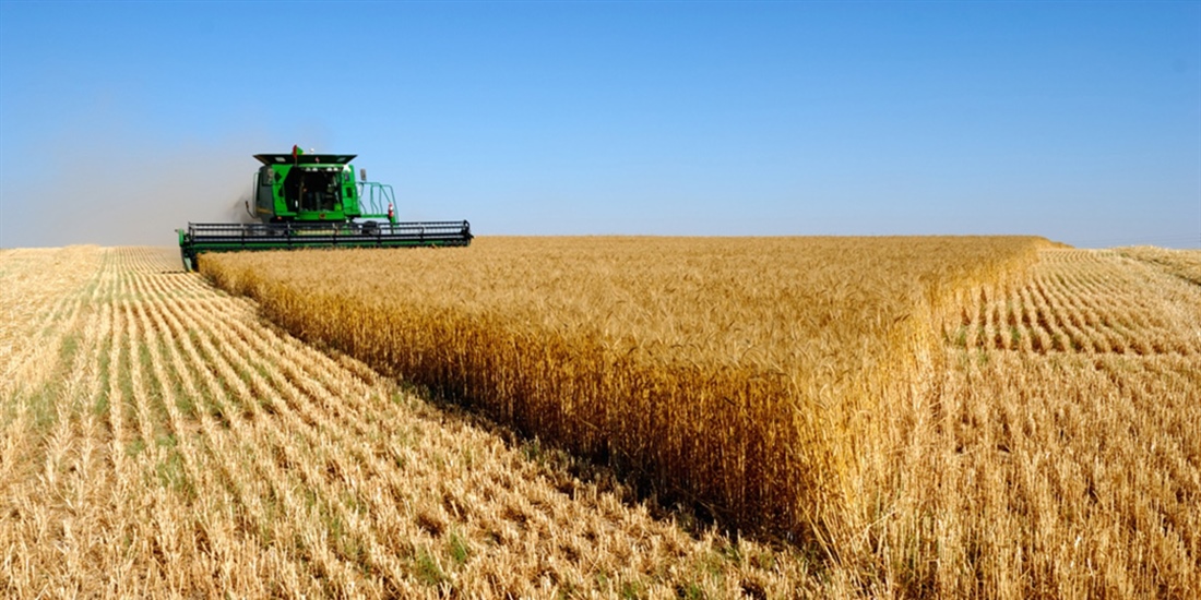 La renta agraria se mantiene estable alcanzando los 28.361 millones de...