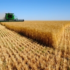 La renta agraria se mantiene estable alcanzando los 28.361 millones de euros