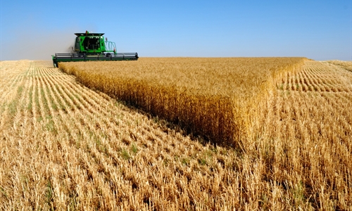 La renta agraria se mantiene estable alcanzando los 28.361 millones de...