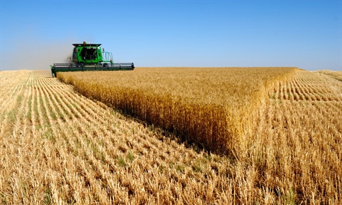 La renta agraria se mantiene estable alcanzando los 28.361 millones de...