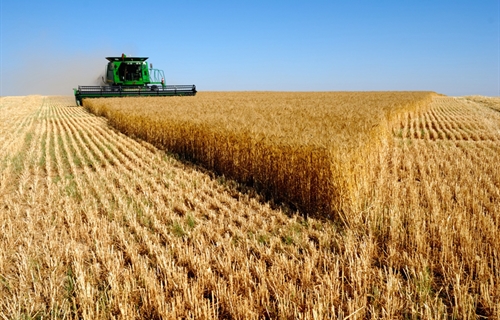 La renta agraria se mantiene estable alcanzando los 28.361 millones de...