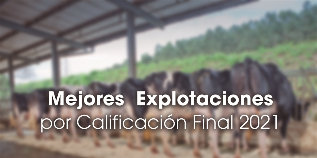 Mejores Explotaciones por Calificacin Final