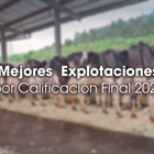 Mejores Explotaciones por Calificacin Final