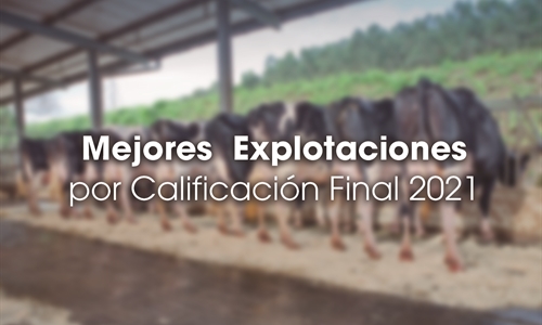 Mejores Explotaciones por Calificacin Final