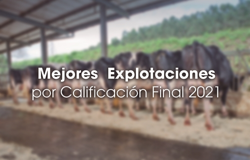 Mejores Explotaciones por Calificacin Final