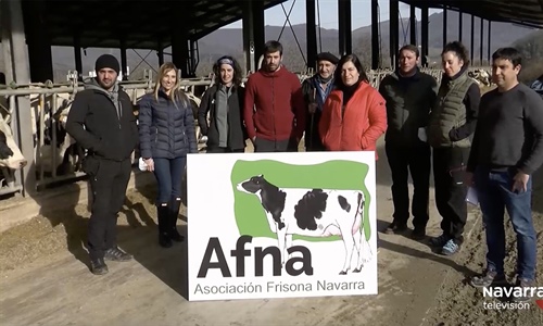 Los ganaderos navarros de vacuno lechero reclaman un precio justo