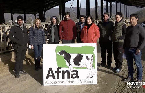 Los ganaderos navarros de vacuno lechero reclaman un precio justo