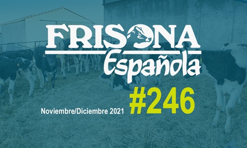 Ya disponible la revista Frisona Espaola n 246