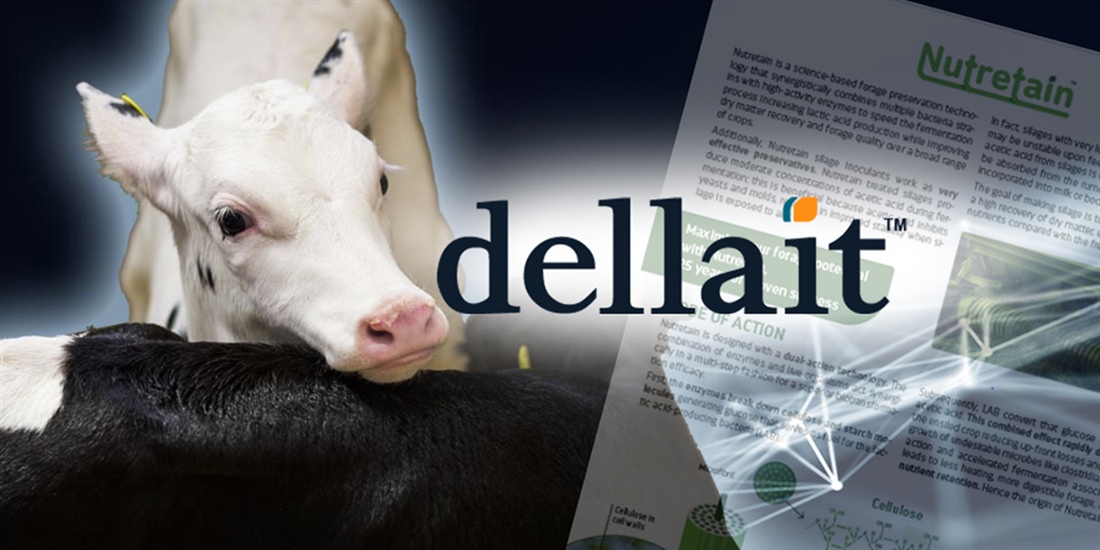 Dellait llega a Espa�a para maximizar la eficiencia t�cnica de las...