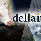 Dellait llega a España para maximizar la eficiencia técnica de las ganaderías