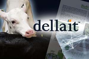 Dellait llega a España para maximizar la eficiencia técnica de las ganaderías