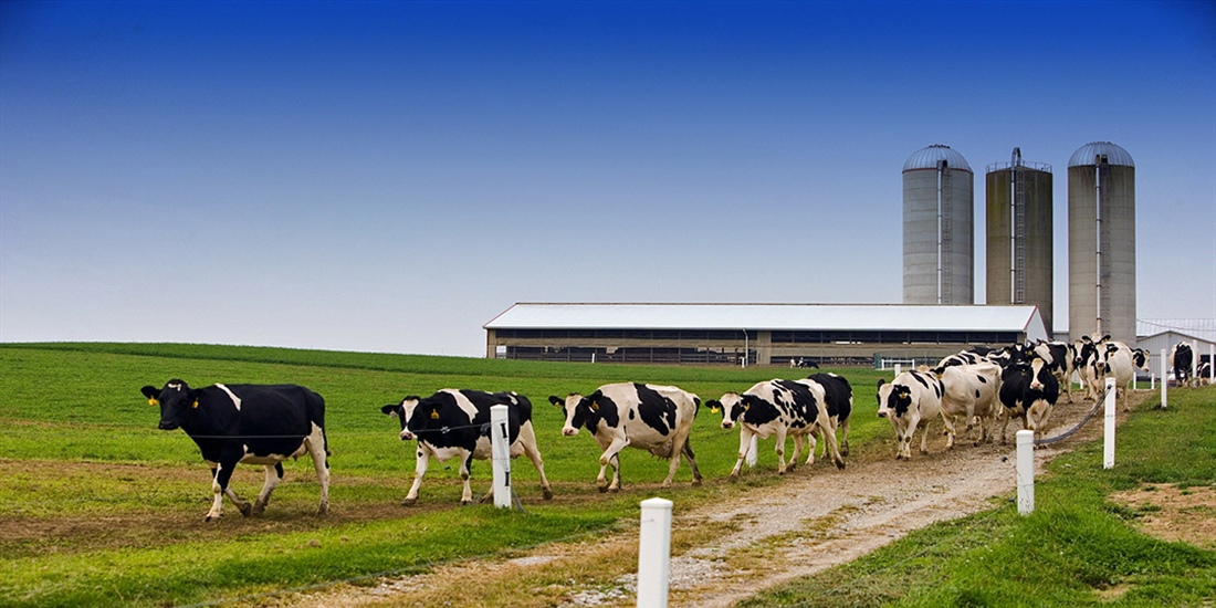 Castilla y Len selecciona 7.500 agricultores y ganaderos