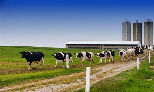 Castilla y Len selecciona 7.500 agricultores y ganaderos