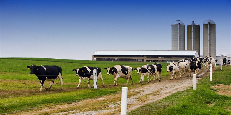 Castilla y Len selecciona 7.500 agricultores y ganaderos