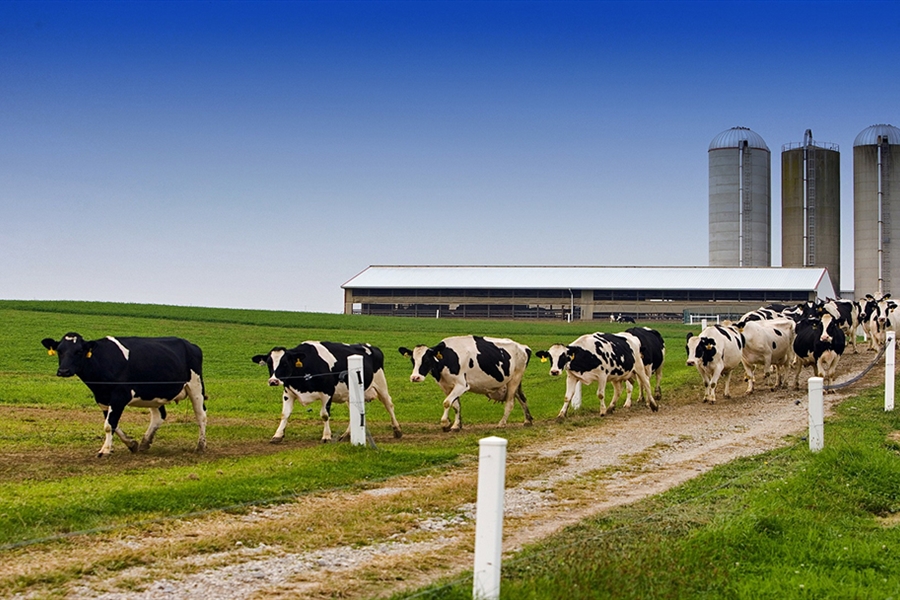 Castilla y Len selecciona 7.500 agricultores y ganaderos