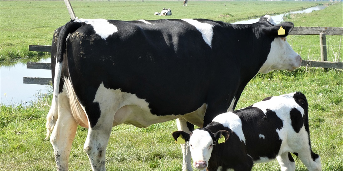 El sector agrario desciende en 6.682 afiliados en diciembre y cierra el...