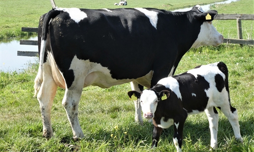 El sector agrario desciende en 6.682 afiliados en diciembre y cierra el...