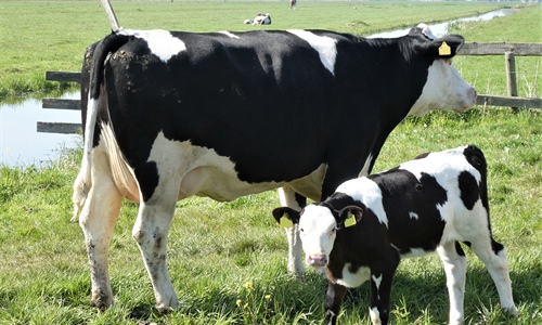 El sector agrario desciende en 6.682 afiliados en diciembre y cierra el...