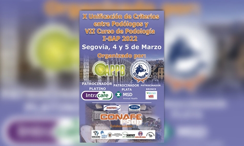 VII Curso de Podologa y X Unificacin de criterios entre Podlogos...
