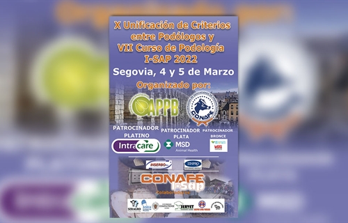 VII Curso de Podologa y X Unificacin de criterios entre Podlogos...