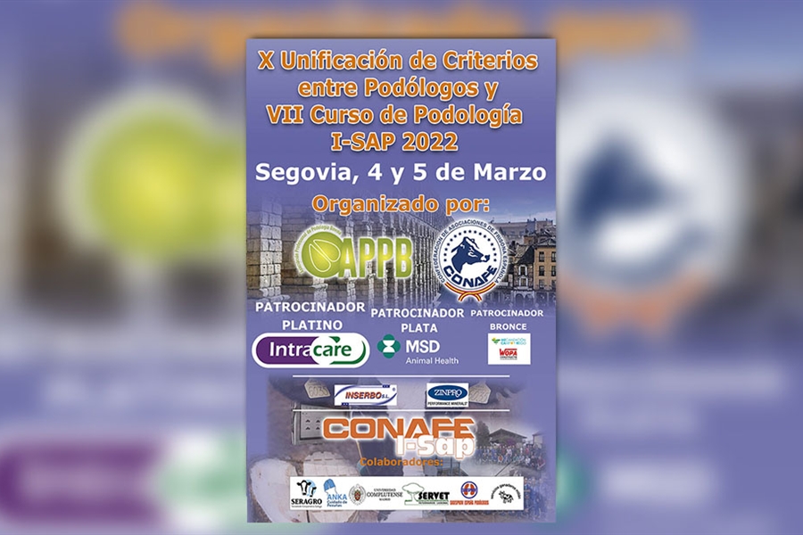 VII Curso de Podologa y X Unificacin de criterios entre Podlogos...