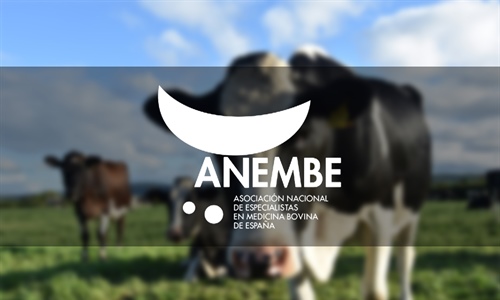 Veterinarios en medicina bovina garantizan la calidad de la carne espaola