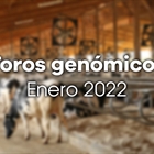 Nuevos toros genmicos con Prueba Oficial: Evaluacin genmica de enero 2022