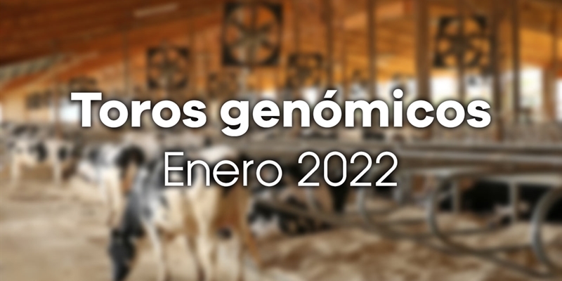 Nuevos toros genmicos con Prueba Oficial: Evaluacin genmica de enero 2022