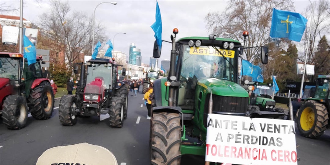Cerca de 6.000 personas se concentraron frente al Ministerio de...