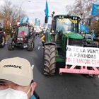 Cerca de 6.000 personas se concentraron frente al Ministerio de Agricultura en defensa del medio rural