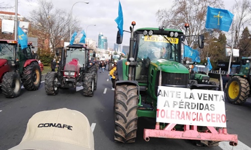 Cerca de 6.000 personas se concentraron frente al Ministerio de...