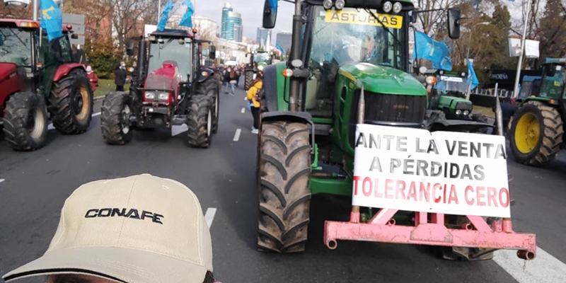 Cerca de 6.000 personas se concentraron frente al Ministerio de Agricultura en defensa del medio rural