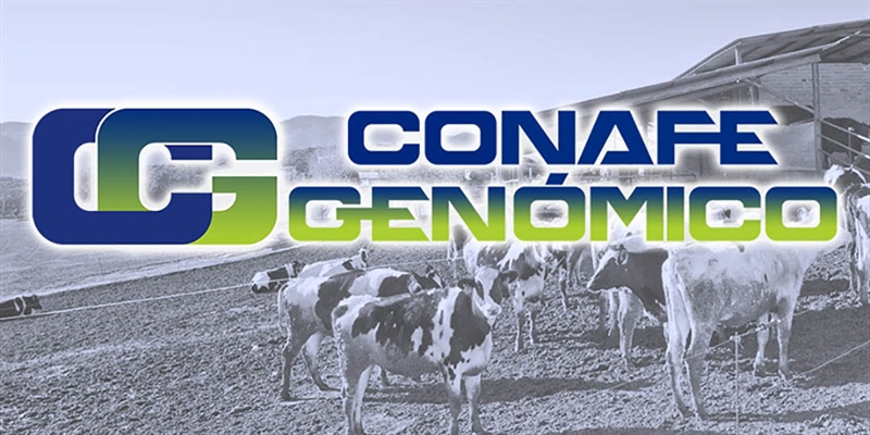 Actualizacin de las pruebas genmicas de Hembras CONAFE Enero 2022