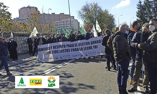 Asaja y UPA-COAG convocan una protesta para reclamar precios justos...