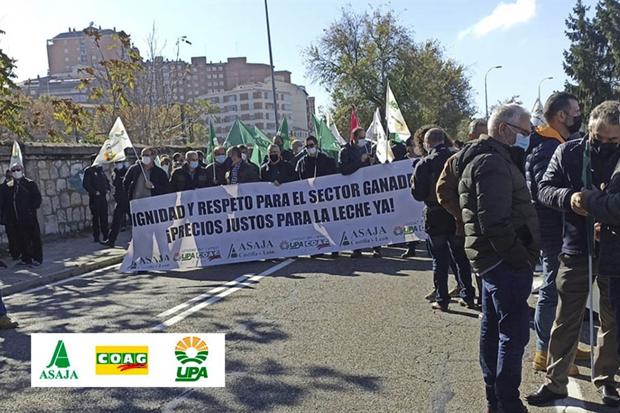 Asaja y UPA-COAG convocan una protesta para reclamar precios justos...