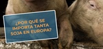 #RealidadGanadera CESFAC: Por qu se importa tanta soja en Europa?