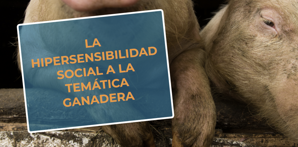 #RealidadGanadera RFEAGAS: La hipersensibilidad social a la tem�tica...