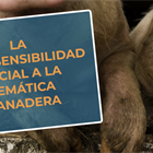 #RealidadGanadera RFEAGAS: La hipersensibilidad social a la temática ganadera