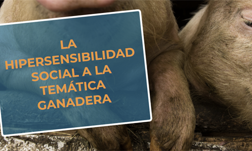 #RealidadGanadera RFEAGAS: La hipersensibilidad social a la temtica...