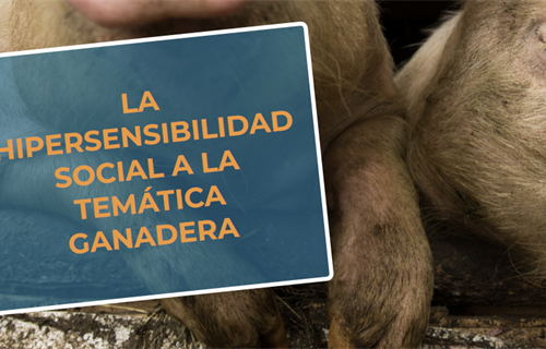 #RealidadGanadera RFEAGAS: La hipersensibilidad social a la temtica...