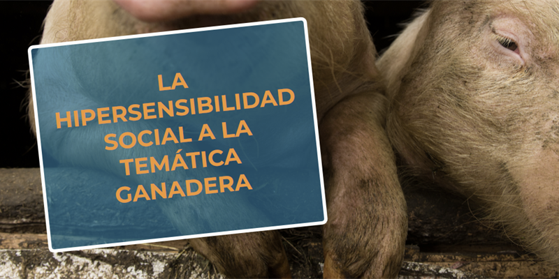 #RealidadGanadera RFEAGAS: La hipersensibilidad social a la temática ganadera
