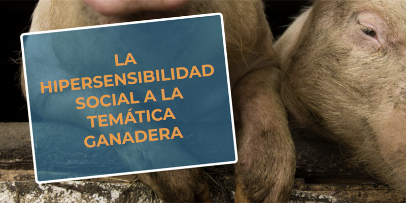 #RealidadGanadera RFEAGAS: La hipersensibilidad social a la temtica ganadera