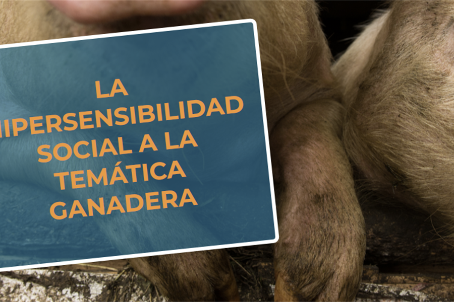 #RealidadGanadera RFEAGAS: La hipersensibilidad social a la temtica...