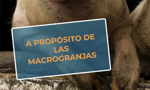 #RealidadGanadera FEDEROVO: A propsito de las macrogranjas