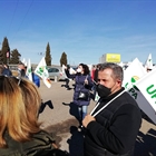 Ganaderos de Castilla y Len derraman leche junto a las industrias para denunciar que el precio que pagan a los productores est por los suelos