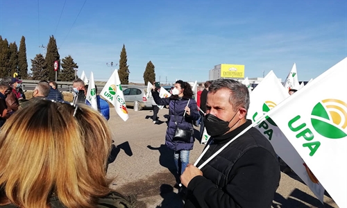 Ganaderos de Castilla y Len derraman leche junto a las industrias para...